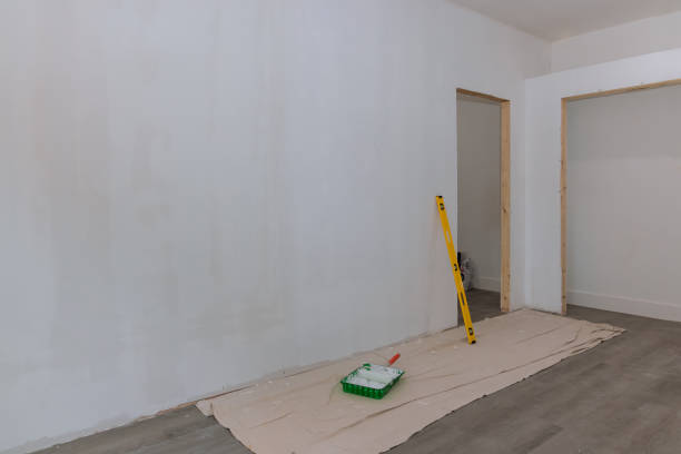 Best Drywall Texturing  in Horizon City, TX