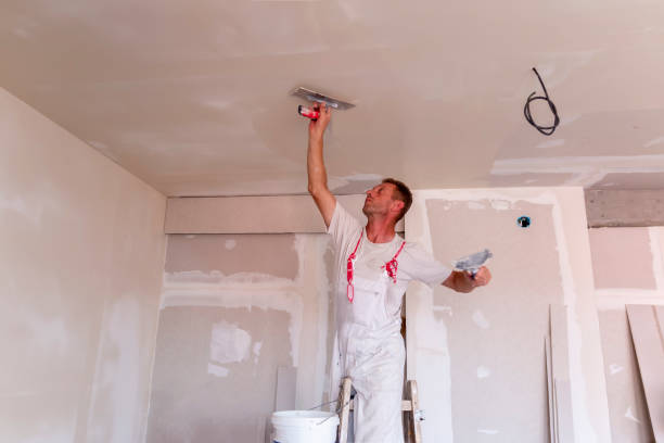 Best Fire-Damaged Drywall Repair  in Horizon City, TX